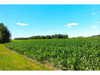 40 Acre Grain Farm with 39.78 acres tillable (per FSA).  

This tract is part of other farms for Horton Farms, Inc. - 40+/- Acre Grain Farm